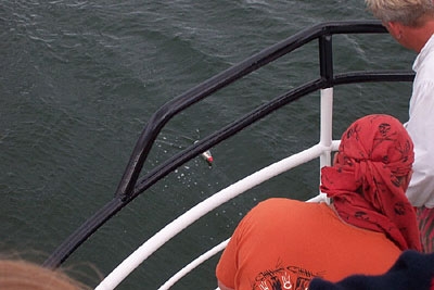 piratenlager_2004_51_20080321_1996447067